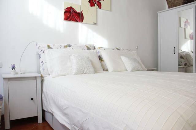 Art Apartment Santa Maria 佛罗伦萨 外观 照片